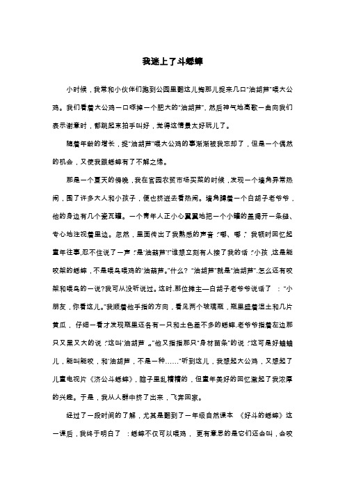 我迷上了斗蟋蟀_六年级散文