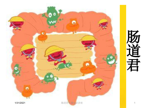 肠道君专题知识讲座培训课件