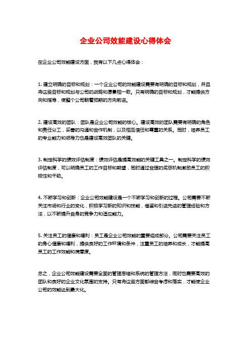 企业公司效能建设心得体会