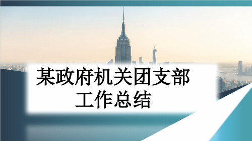 某政府机关团支部工作总结