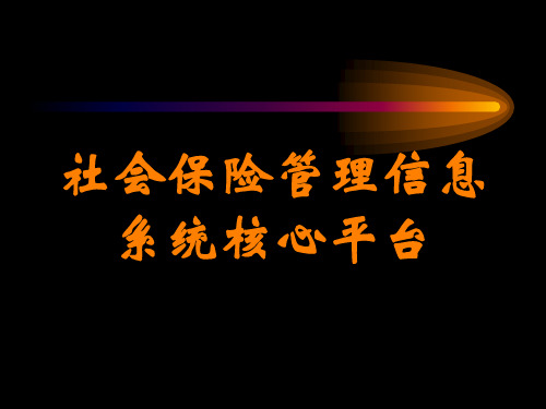 社会保险管理信息系统核心平台讲义