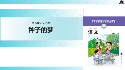 2021小学语文北师大版五年级下册《种子的梦》教学课件