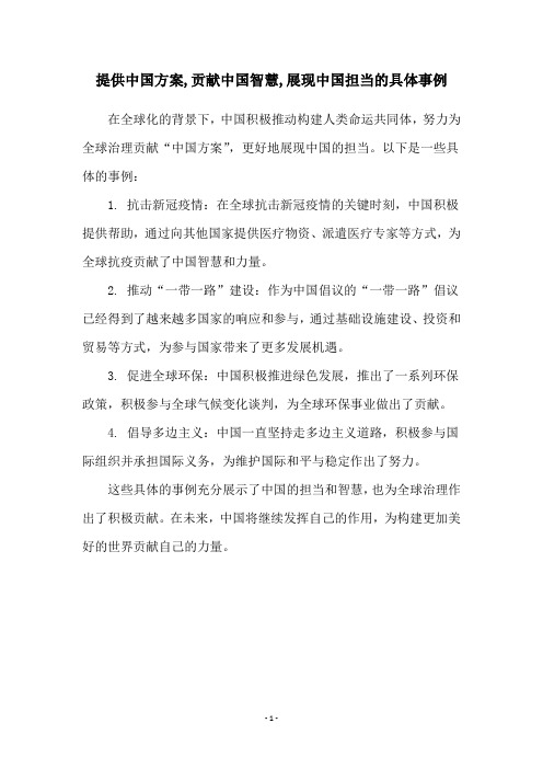 提供中国方案,贡献中国智慧,展现中国担当的具体事例