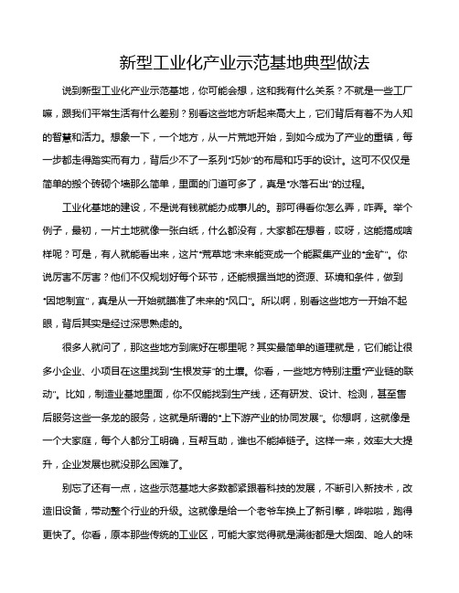 新型工业化产业示范基地典型做法