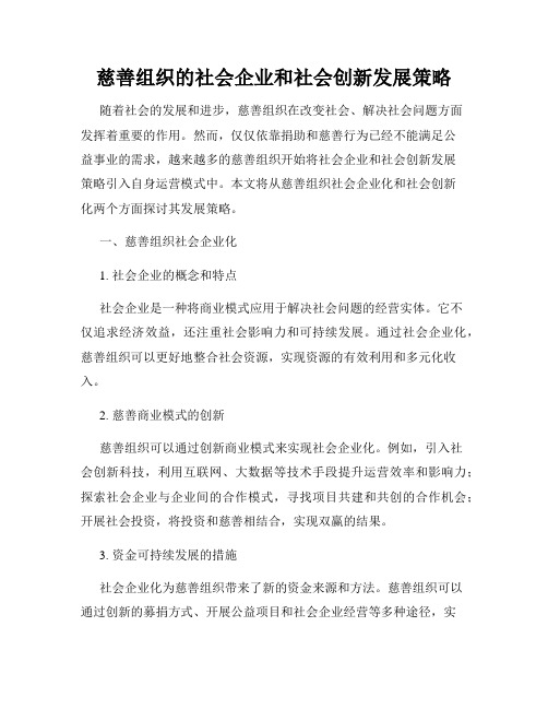 慈善组织的社会企业和社会创新发展策略