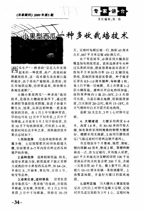 小果型西瓜一种多收栽培技术