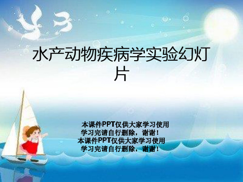 水产动物疾病学实验幻灯片