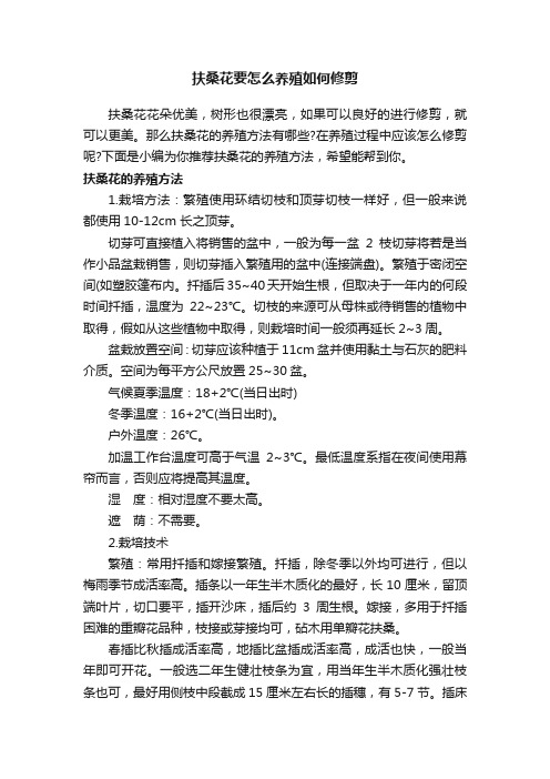 扶桑花要怎么养殖如何修剪