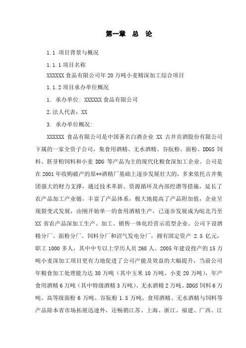 小麦精深加工综合项目可行性研究报告