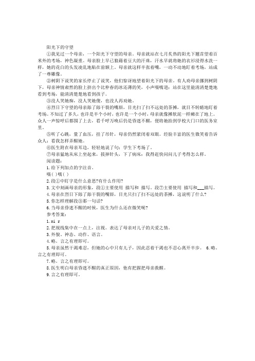 《阳光下的守望》阅读答案