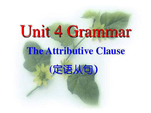 九年级英语定语从句全面的定语从句讲解和练习,好 课件 北师大版全册