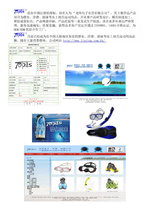 浮潜Topis呼吸管、目镜、脚蹼,全干式呼吸管使用技巧