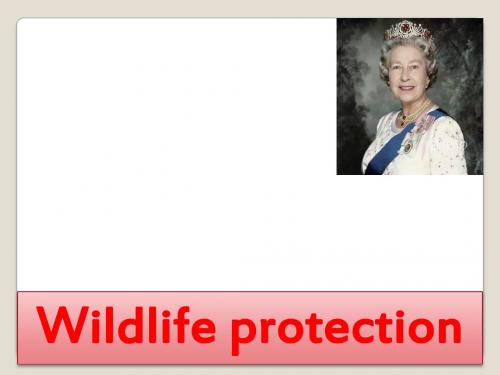 人教新课标版高中英语必修二： Unit 4《Wildlife protection》(8)(94)