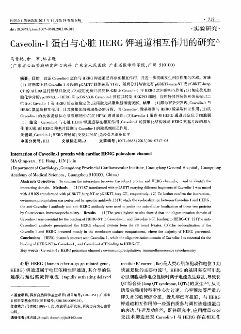 Caveolin-1蛋白与心脏HERG钾通道相互作用的研究