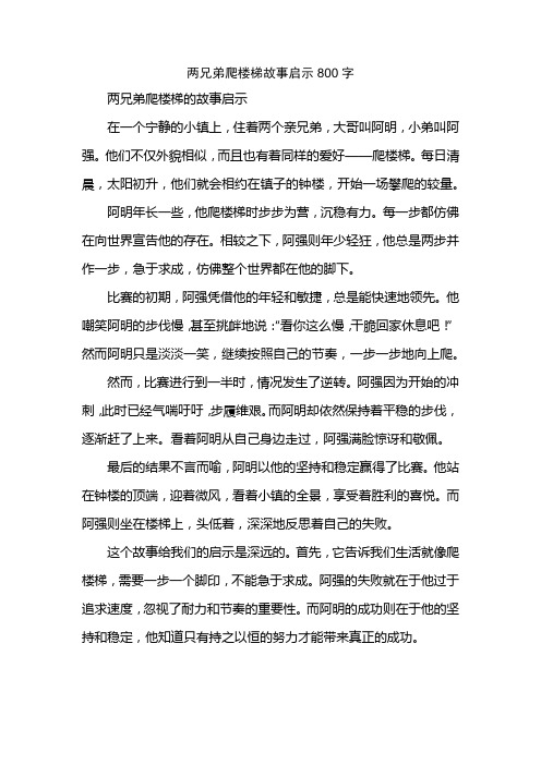 两兄弟爬楼梯故事启示800字