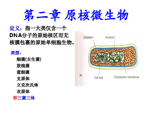 第2章 微生物学(周德庆) 原核生物