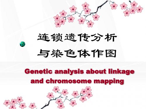 遗传学-连锁遗传分析与染色体作图