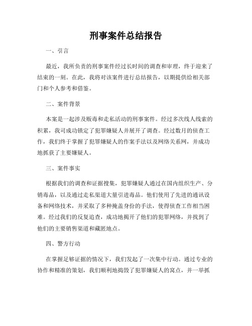 刑事案件总结报告