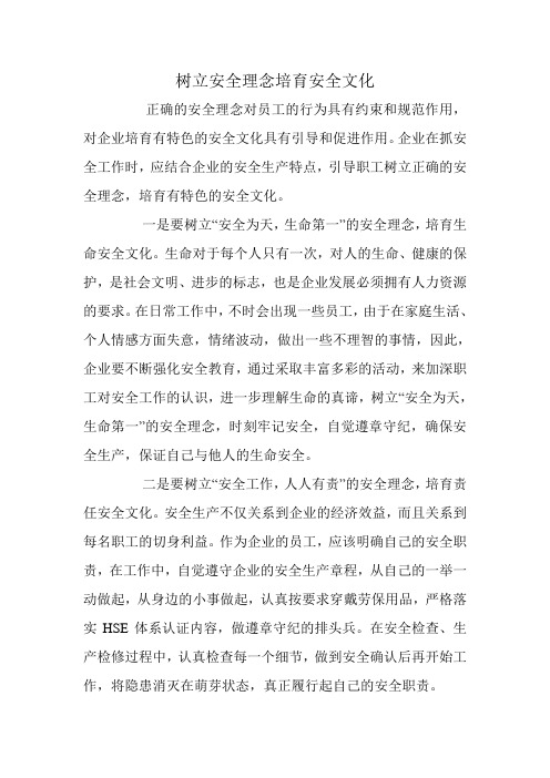 树立安全理念培育安全文化