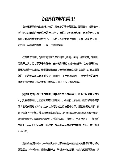 关于沉醉在什么什么里的作文题目