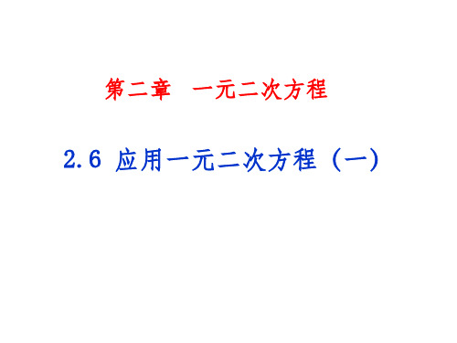 北师大版数学九上应用一元二次方程ppt课件