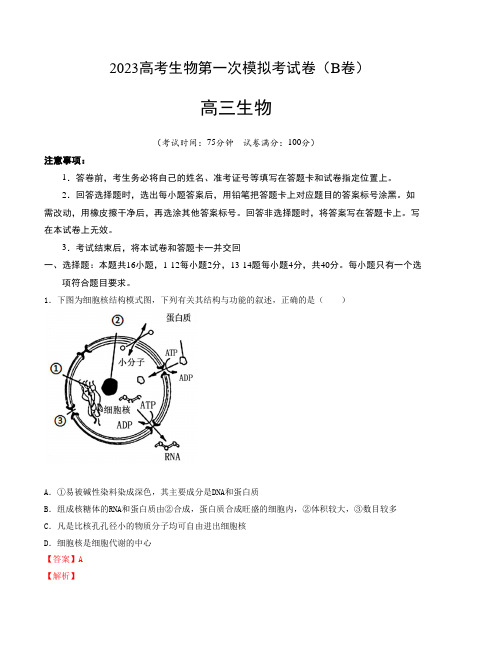 生物2023高考生物第一次模拟考试卷(广东B卷)(全解全析)