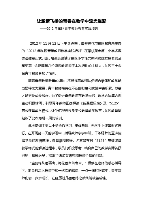 青年教师培训新闻稿