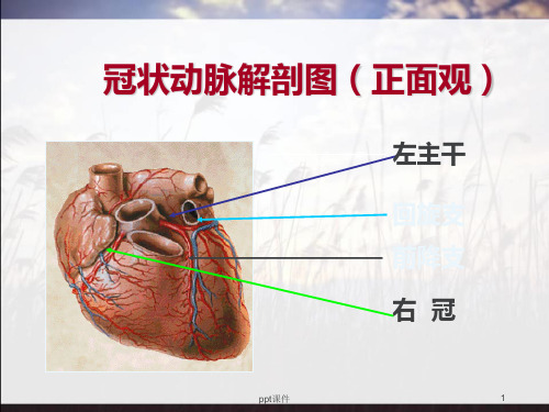 冠心病的危险因素与健康教育ppt课件