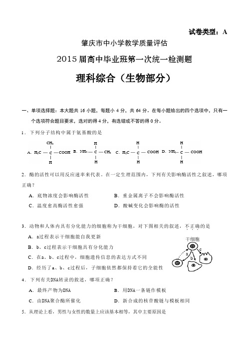 广东省肇庆市2015届高中毕业班第一次统一检测生物试题及答案