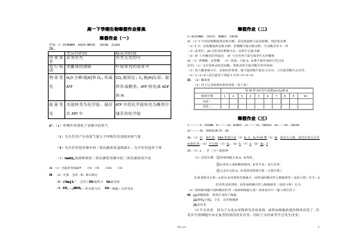 高一下学期生物寒假作业答案