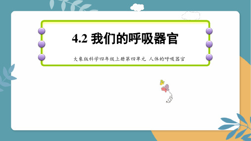 《我们的呼吸器官》课件大象版小学科学四年级上册4