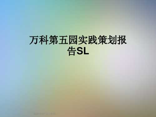 万科第五园实践策划报告SL