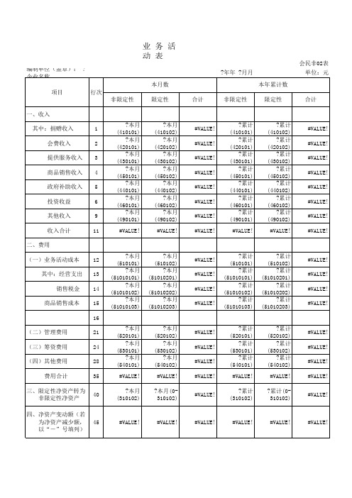 民间非盈利-损益表