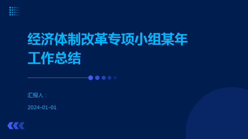 经济体制改革专项小组某年工作总结