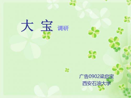 大宝广告_成功策划分析