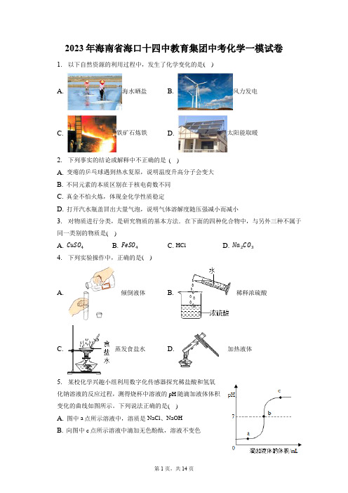 2023年海南省海口十四中教育集团中考化学一模试卷(含答案解析)