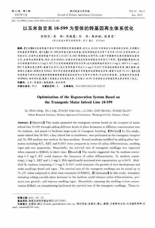 以玉米自交系18-599为受体的转基因再生体系优化