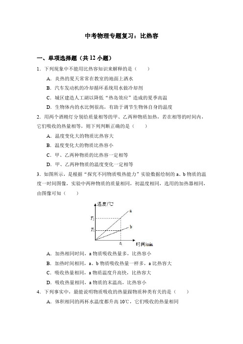 中考物理专题复习：比热容