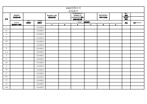 全尺寸检查报告