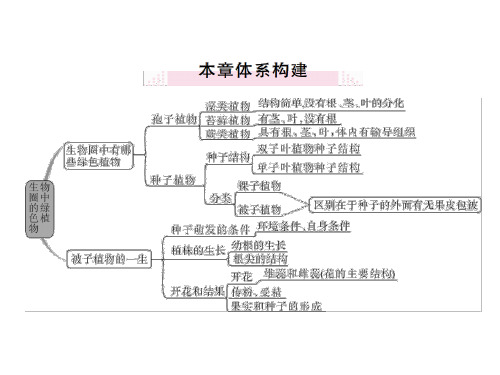 秋人教版七年级生物上册同步课件：第三单元 第一、二章 小结与复习 (共15张PPT)