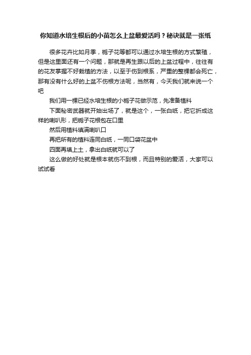 你知道水培生根后的小苗怎么上盆最爱活吗？秘诀就是一张纸