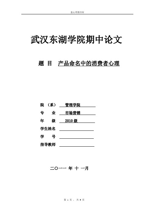 消费者行为学——论文