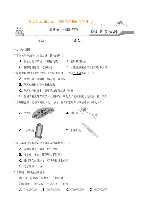 专题2.2.4 单细胞生物(原卷版)