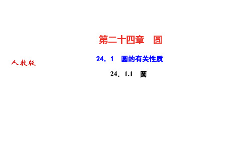 人教版九年级数学上册作业课件 第二十四章 圆 圆的有关性质 圆