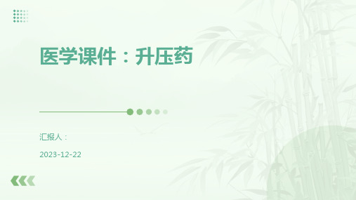 医学课件：升压药