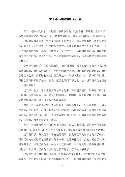 关于小乌龟观察日记三篇精选