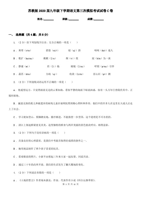 苏教版2020届九年级下学期语文第三次模拟考试试卷C卷