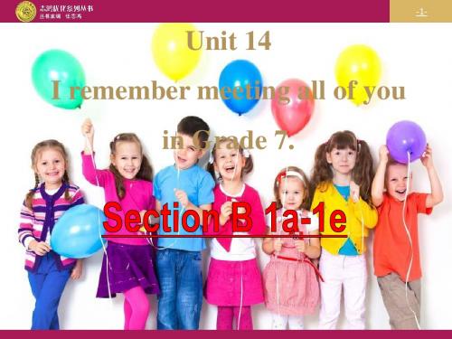 最新人教版九年级英语省优质课一等奖 Unite 14SectionB 1a-1e