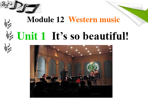 《It's so beautiful》Western music PPT课件