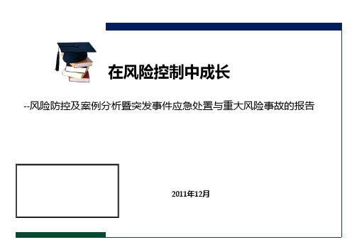 担保行业风险防控及案例分析